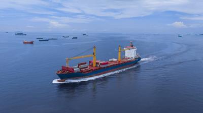 燃气探测器采用中国厦门全球物流抵达美国西 燃气探测器采用中国厦门全球物流抵达美国西