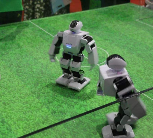 乐博乐博机器人教育加盟费用是多少呢？