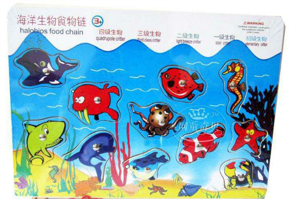生物海洋启蒙教材玩具加盟