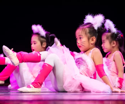 小蓓蕾舞蹈——突破了传统应试教育的弊端，开创了全新的芭蕾教学体