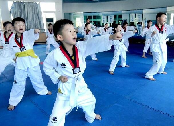 藏龙跆拳道——专业的跆拳道教学水平，提供更全面的培训及保障