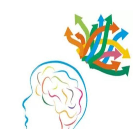 铭思教育——机构致力于全脑开发领域的研究与教育