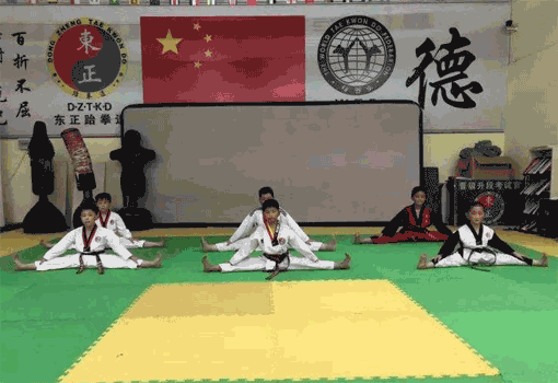 东正跆拳道——培养学员德智体多方面的能力