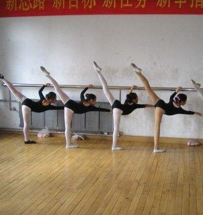 尚艺舞蹈——集教练培训与舞蹈健身为一体的舞蹈培训机构