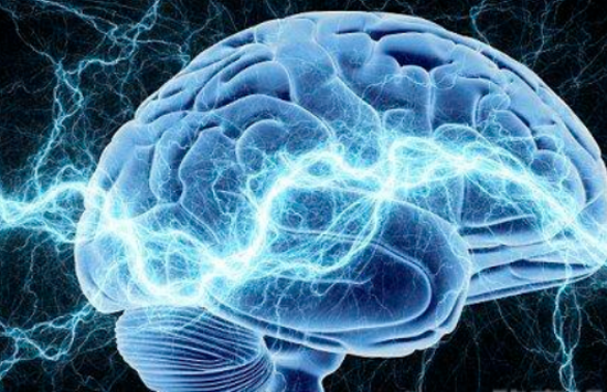 聚森记忆——帮助大家解放大脑，提升学习能力思考能力