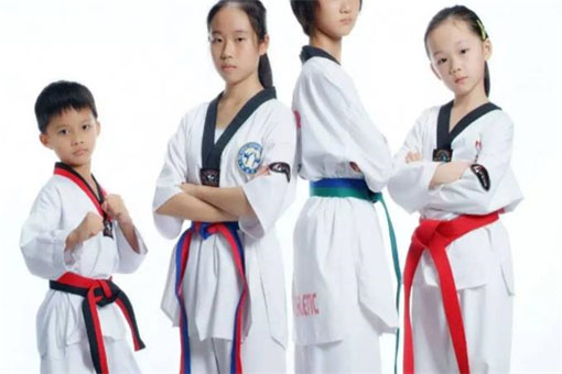 博砺跆拳道——成为中国青少年儿童素质教育第一品牌