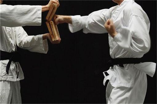 博砺跆拳道——成为中国青少年儿童素质教育第一品牌