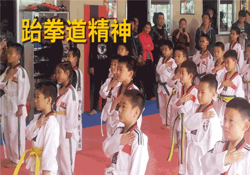 龙武国际跆拳道——2008