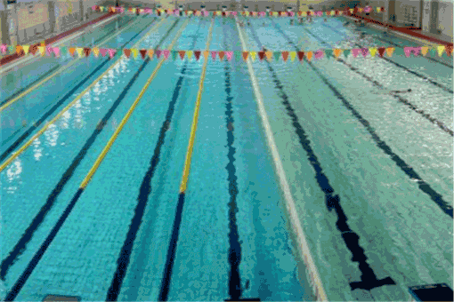 bb游泳馆——打造中国民族的婴幼儿游泳强势品牌