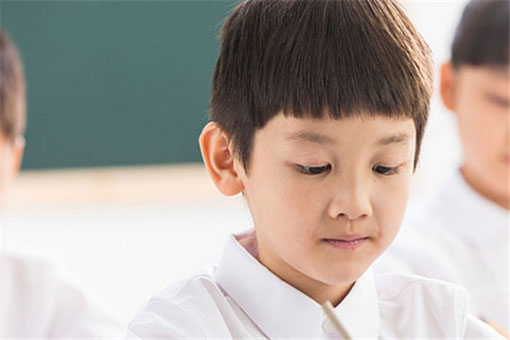 凤朝教育——成为更受信赖的提升学习力的第三课堂