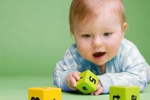杜曼早教——重视婴幼儿的智力组件及脑力结合