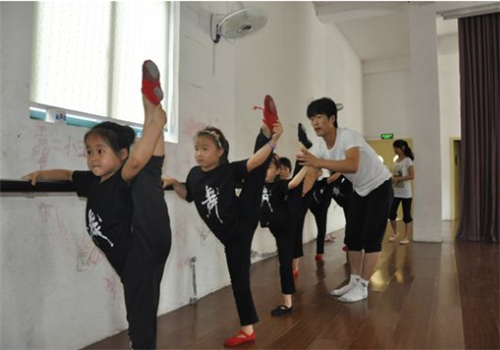 小蜻蜓舞蹈艺术培训中心——会员电脑化管理，教学进度和教学质量由总部统一管理和监督