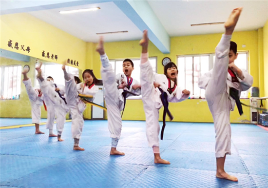 龙仁跆拳道——科学的教学内容，严谨的考级制度