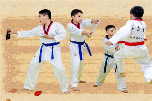 青涛跆拳道——坚持把纯粹的素质教育献给可爱的孩子