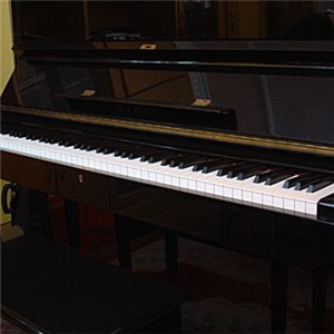 法奇奥里钢琴——源自于对细节和品质的追求，力求制造出非凡的钢琴