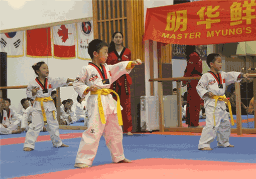 明华鲜跆拳道——鲜明特色的教学模式和管理方法