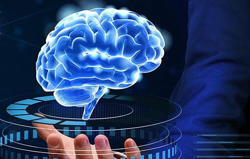博纳拓思脑教育——分析每一位学生的大脑情况，基于问题给出教育建议及训练方案，培育创