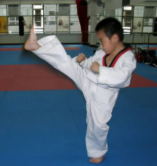 森磊跆拳道馆——无锡市跆拳道队后备人才训练基地，也是市体育局指定认可的跆拳道健身