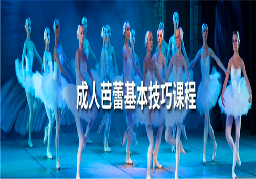 沈洋芭蕾——学校专注于芭蕾舞的培训与推广，教学经验丰富