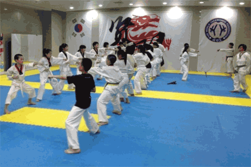 众博跆拳道馆——培养学员德智体多方面的能力