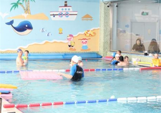 蓝鲸宝宝亲子游泳——室温、水温、湿度严格达到统一标准