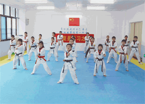 新星跆拳道——最有品质的素质教育，培养最成功的孩子