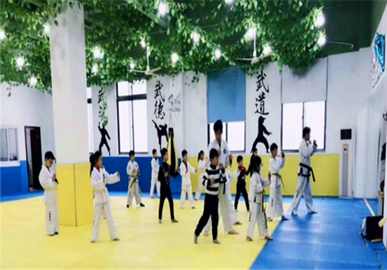 搏翼国际跆拳道馆——强身健体，育德育人，全面发展