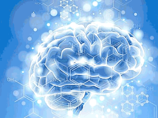 聚森记忆——帮助大家解放大脑，提升学习能力思考能力