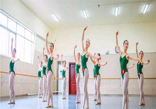 华嘉舞蹈学院——治学严谨、学术造诣高的资深教师