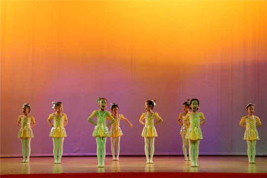 舞之梦舞蹈——以成人，少儿，考前舞蹈集训为主