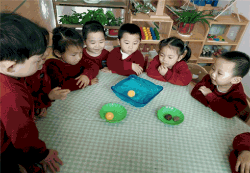 金福娃幼儿园——以建构式教育为基础，以多元智能理论为指导