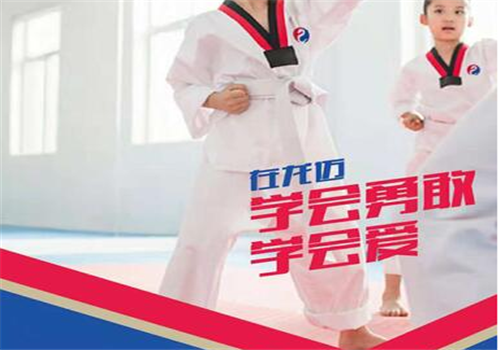 龙迈跆拳道——强大的师资力量，专业的服务队伍