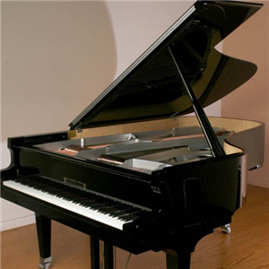 法奇奥里钢琴——源自于对细节和品质的追求，力求制造出非凡的钢琴