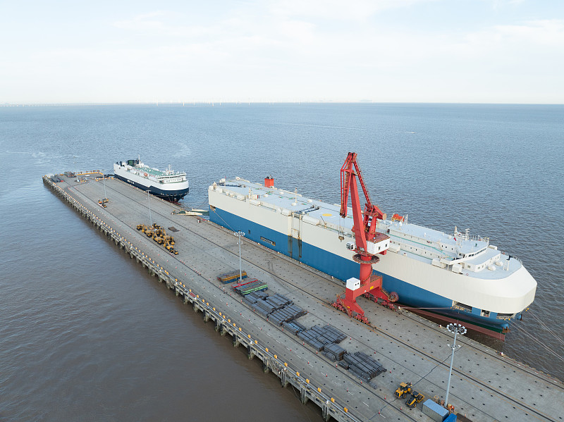 迪拜世博会中国大熊猫保护主题展正在展出