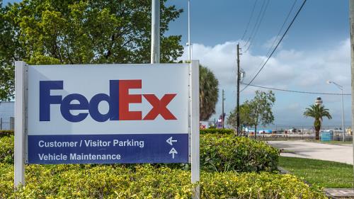 国际脑研究组织