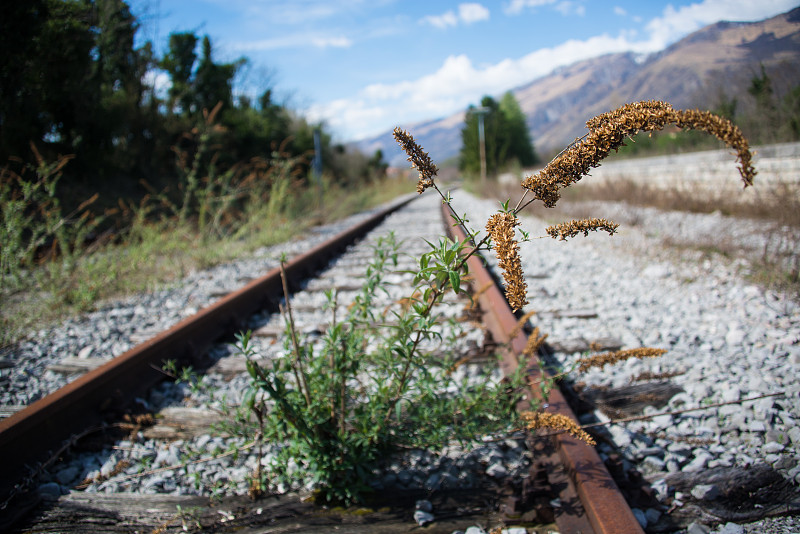 澳大利亚食品科学与技术研究所 澳大利亚食品科学与技术研究所
