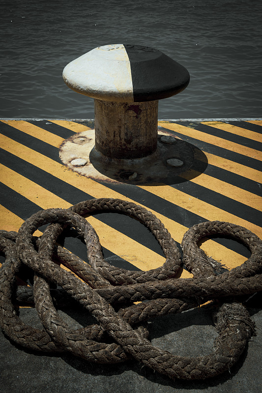 CPT是什么意思？