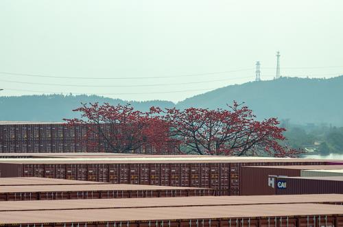 常见中美快递时效及价格对比