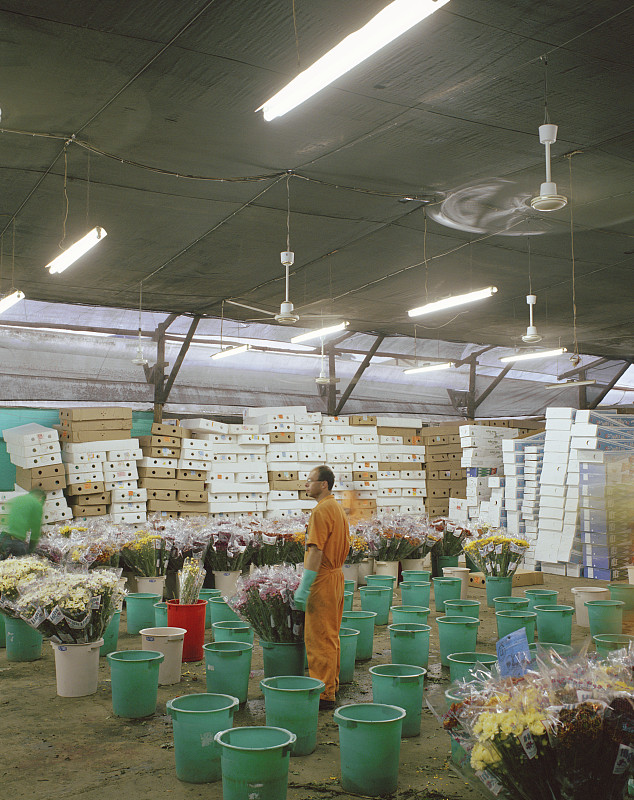 国际货运中的买单报关是什么意思（国际物流干货知识分享）