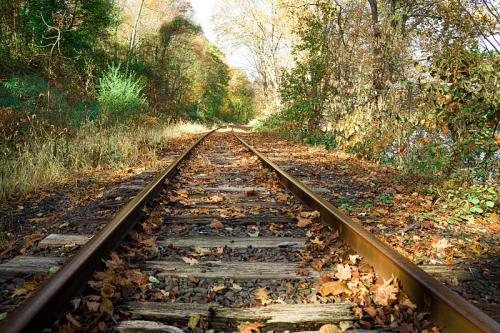 外贸中的电放是什么意思