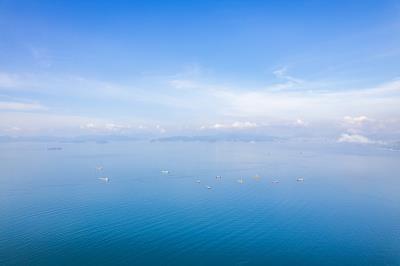 荆州市春城物流有限公司有关信息