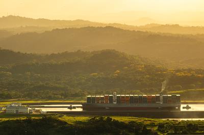 青岛海瑞泰达国际物流有限公司有关内容