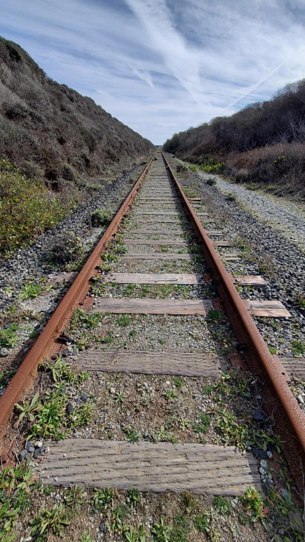 东莞市红金顺物流有限公司