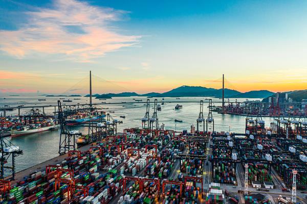 深圳市鼎鼎物流有限公司