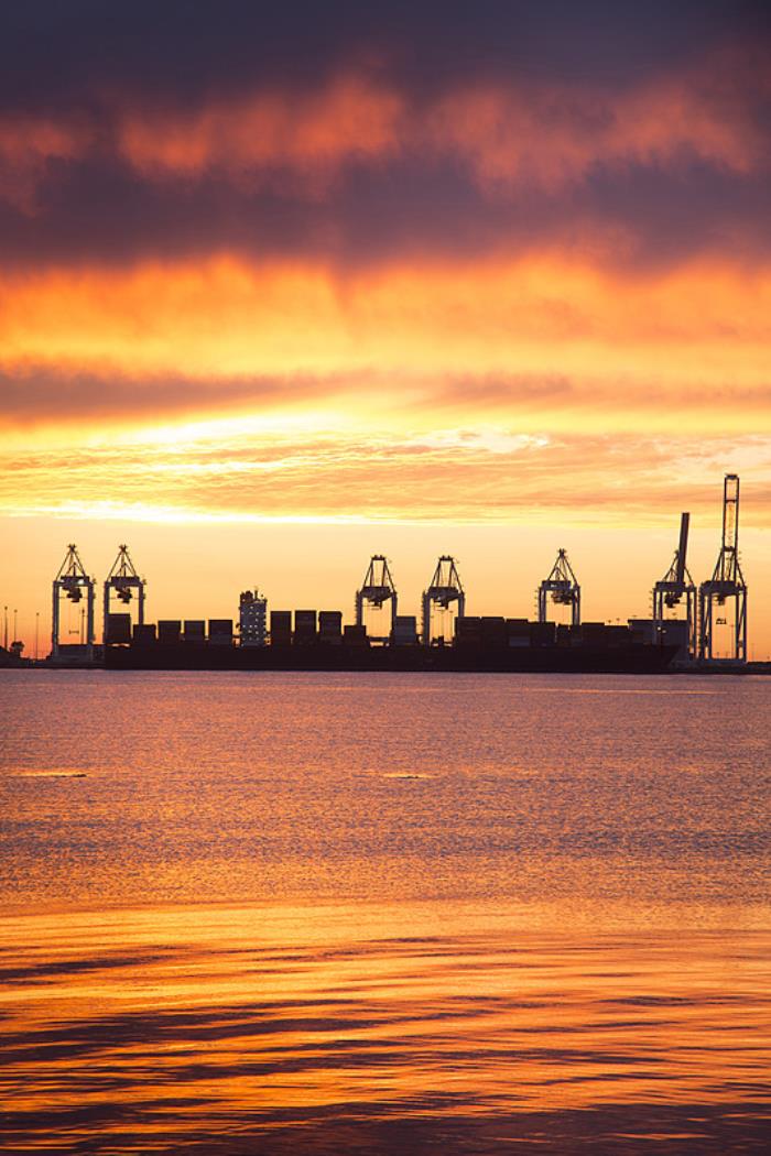 广州星聚物流有限公司相关概要