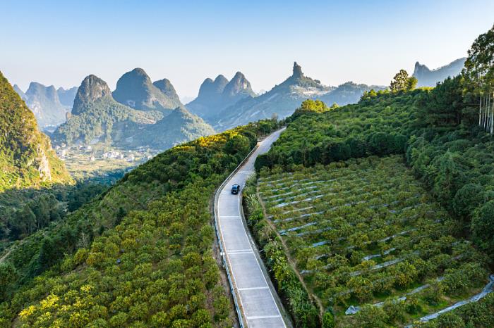 广州市佳尔国际物流有限公司