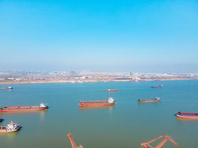 青岛星展国际物流有限公司相关概要