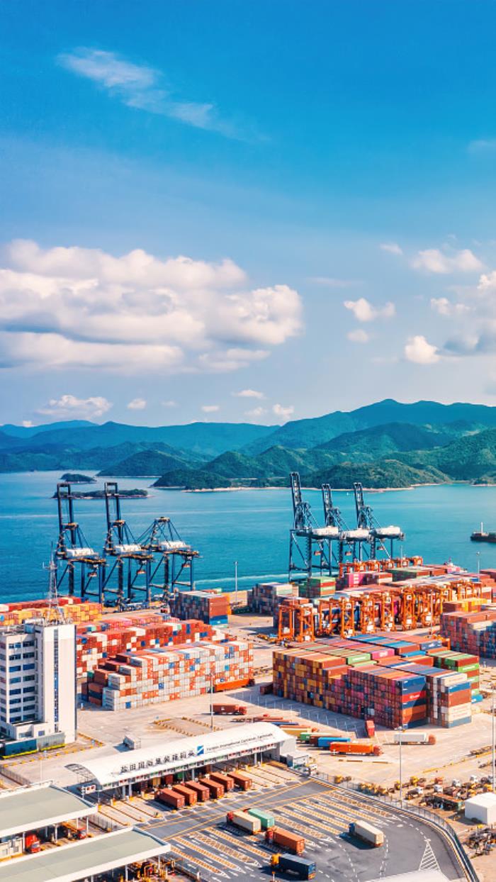 深圳市震驰国际物流有限公司