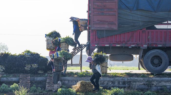 江门市合创物流有限公司