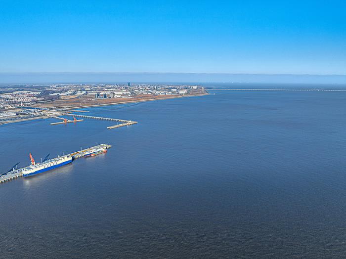 青岛港和顺物流有限责任公司部分概要